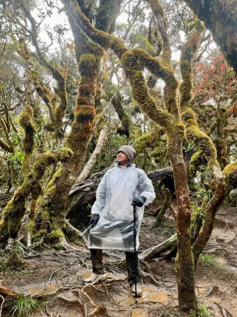 Merald in a rain poncho among the moss-covered trees of Mount Pulag, Philippines