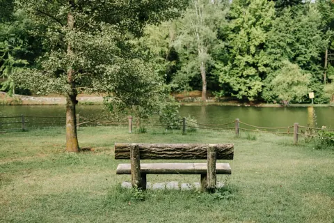 Wooden bench beside a quiet river, surrounded by lush summer greenery